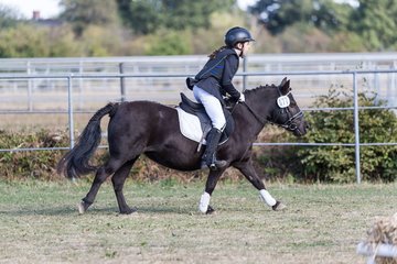 Bild 184 - Pony Akademie Turnier